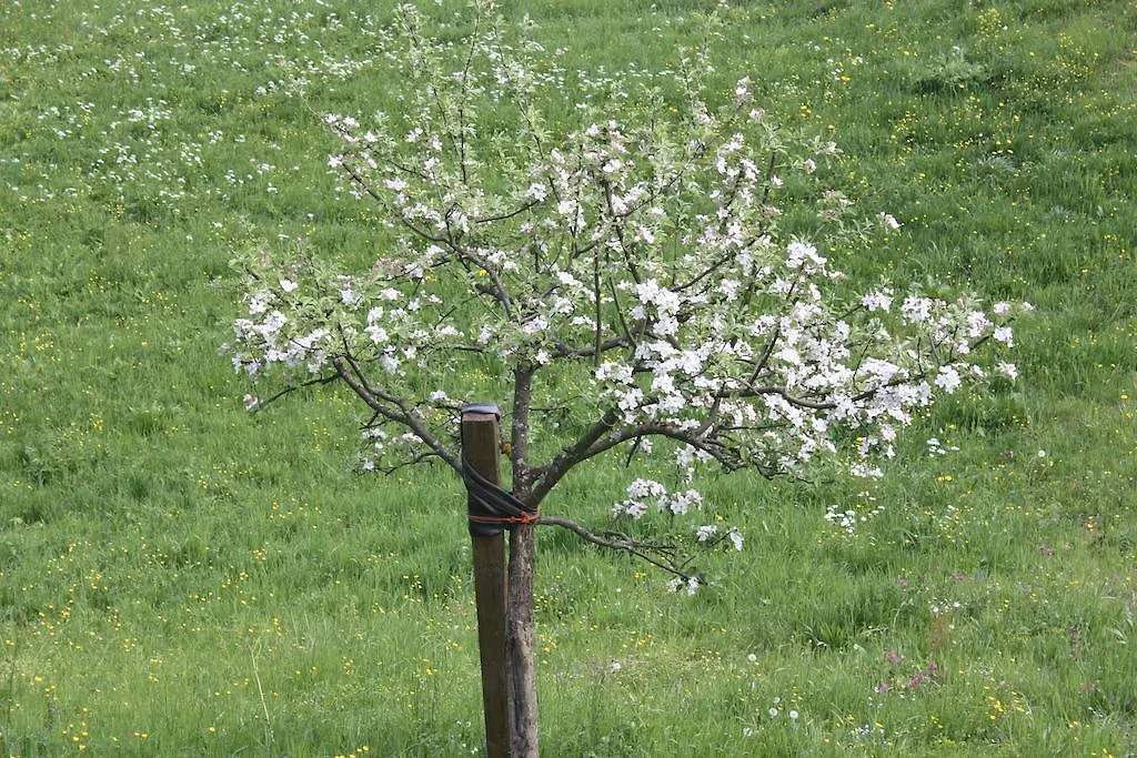 Alpenferienwohnungen Wiesenlehen 베르히테스가덴
